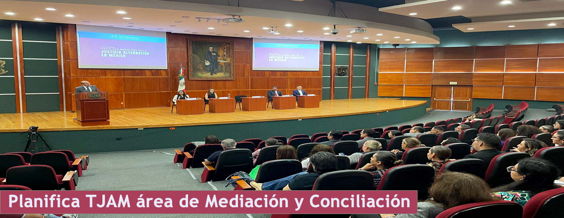 Planifica TJAM área de Mediación y Conciliación